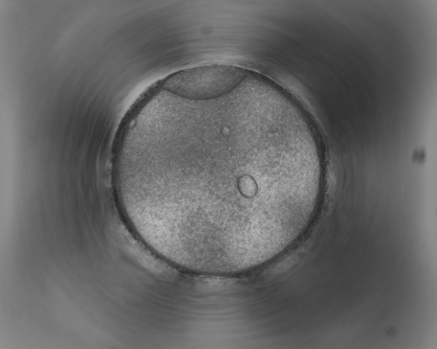 X0000112350924200909241058