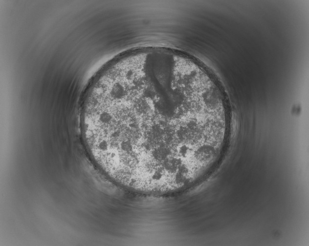 X0000112350925200909241058