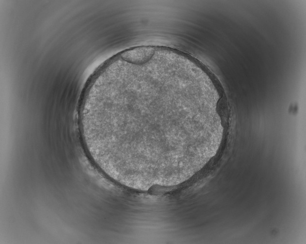 X0000112350928200909241058