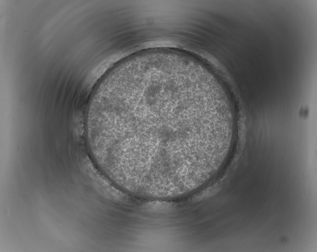 X0000112350929200909241058