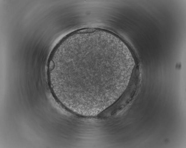 X0000112350932200909241058