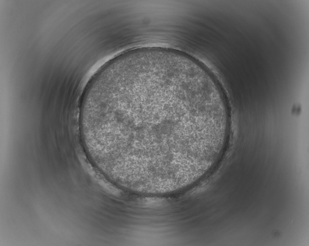 X0000112350933200909241058