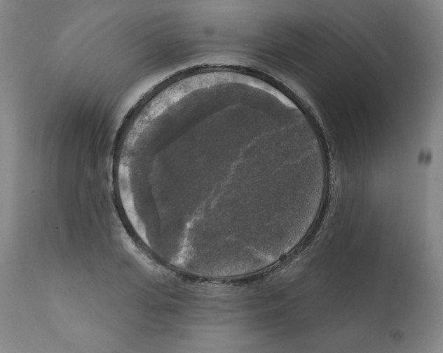 X0000112350935200909241058