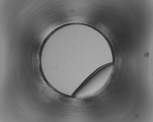 X0000112350936200909241058