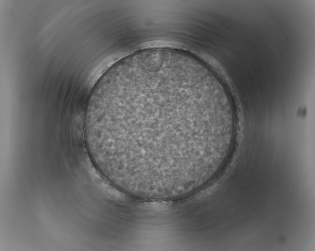 X0000112350937200909241058