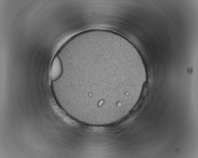 X0000112350940200909241058