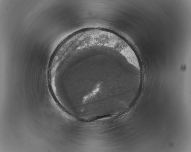 X0000112350943200909241058