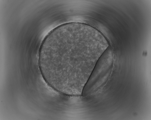 X0000112350944200909241058