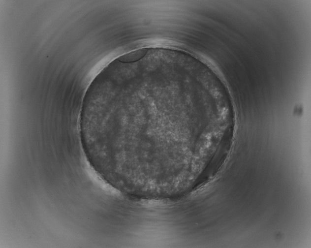 X0000112350946200909241058