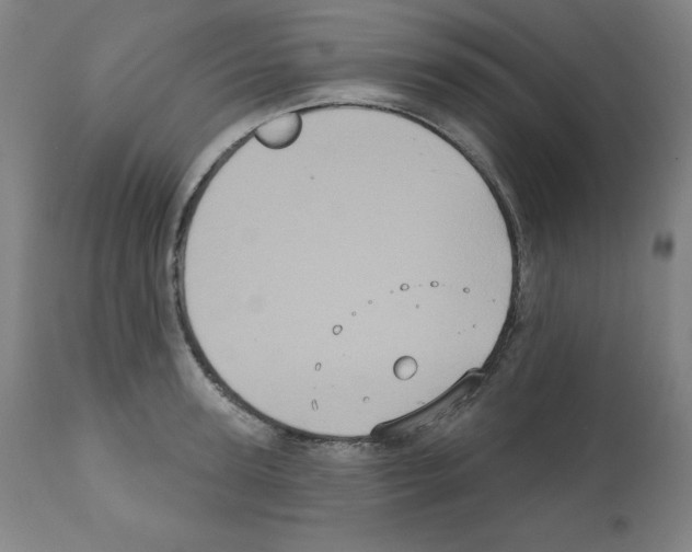 X0000112350947200909241058