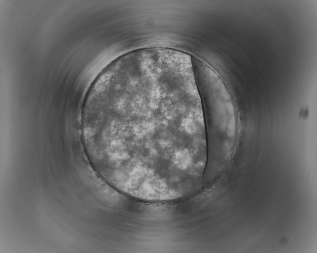 X0000112350948200909241058