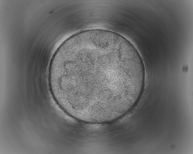 X0000112350949200909241058