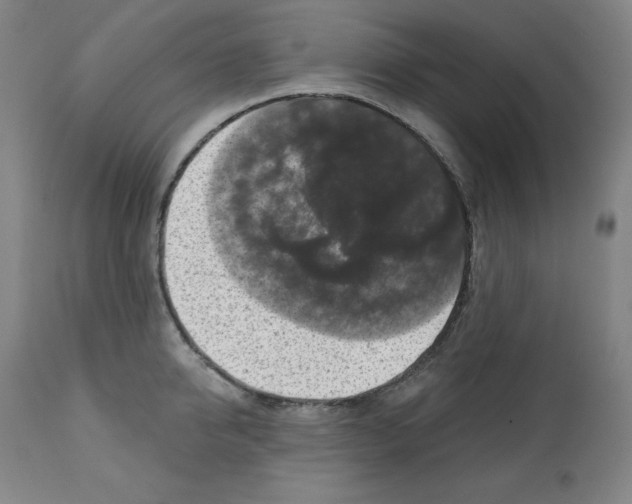 X0000112350950200909241059