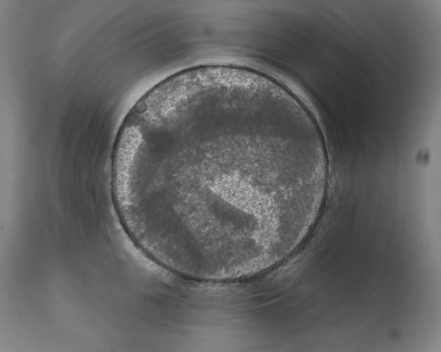 X0000112350951200909241059