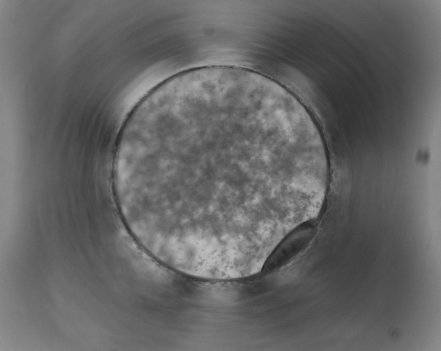 X0000112350952200909241059