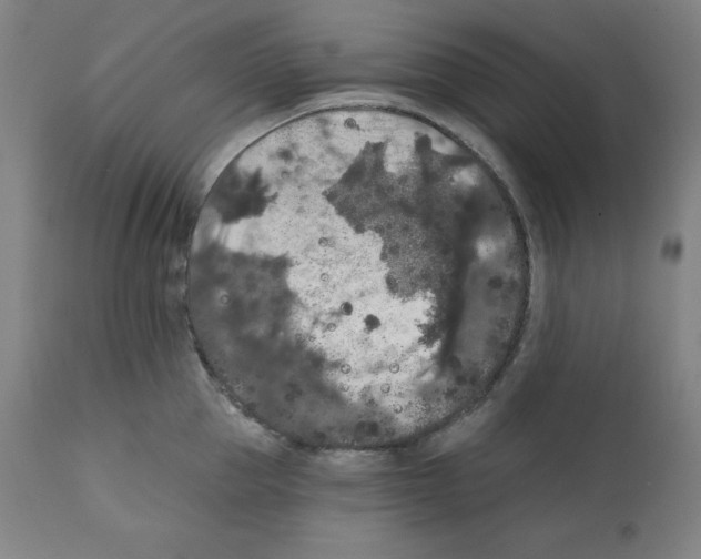 X0000112350953200909241059