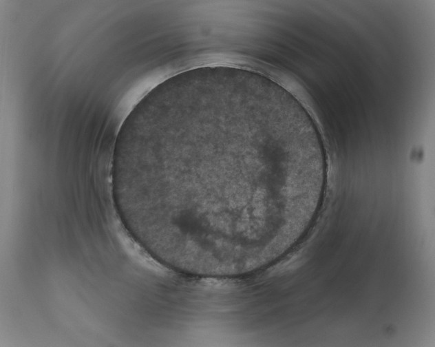 X0000112350954200909241059