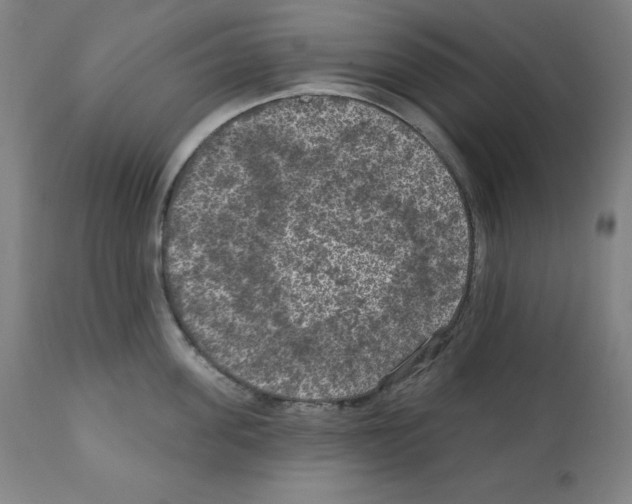 X0000112350955200909241059