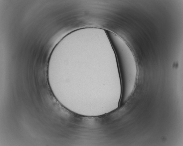 X0000112350956200909241059