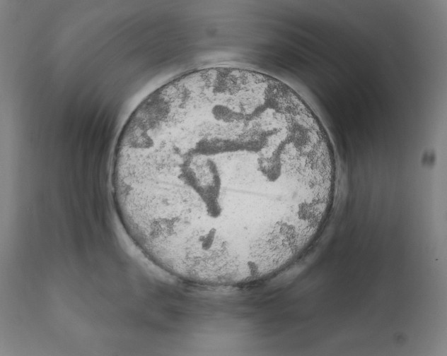 X0000112350957200909241059