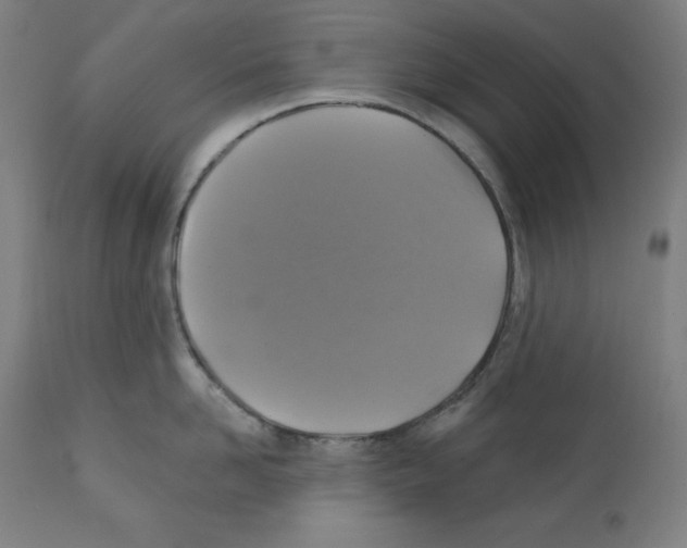 X0000112350958200909241059