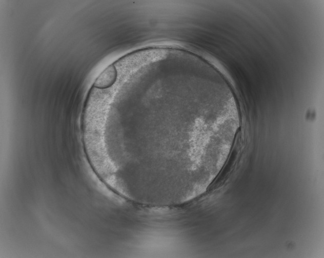 X0000112350959200909241059