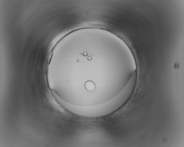 X0000112350960200909241059