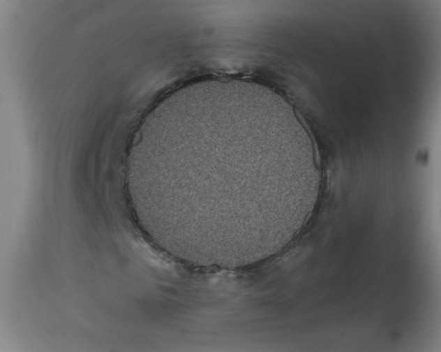 X0000112350961200909241058