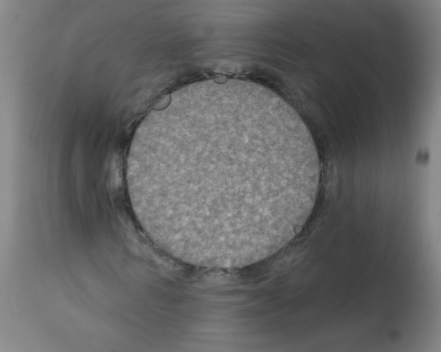 X0000112350962200909241058