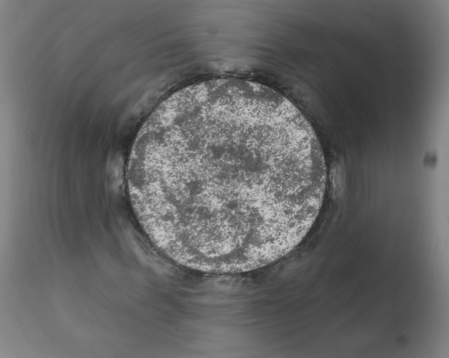 X0000112350963200909241058