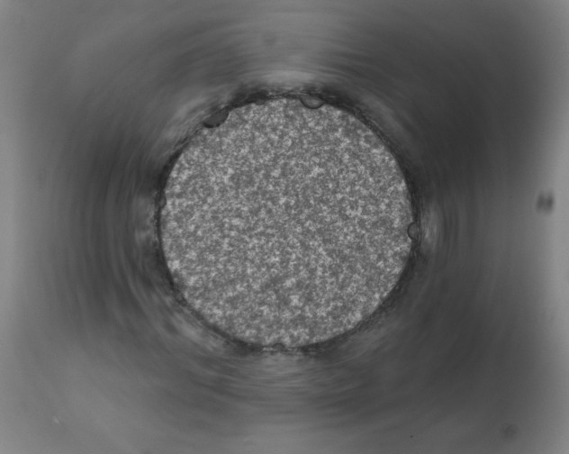 X0000112350964200909241058