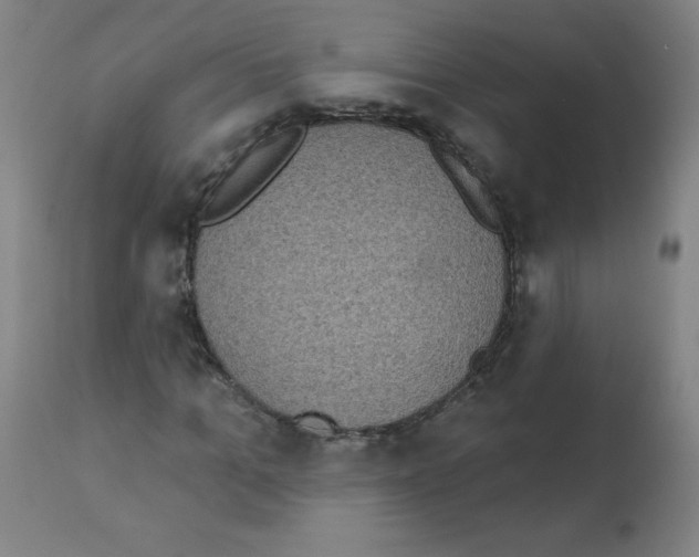 X0000112350965200909241058