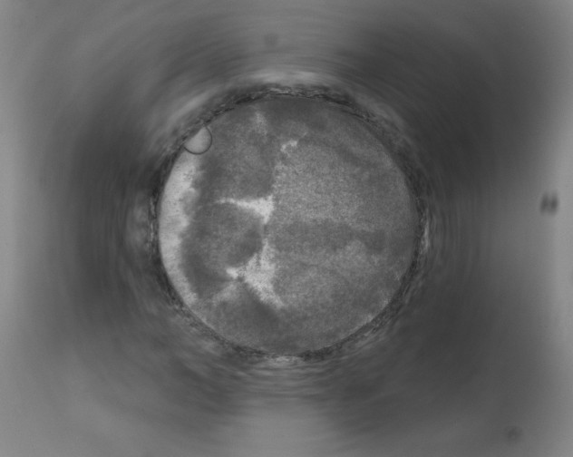 X0000112350966200909241058