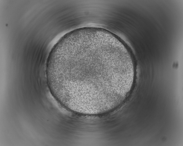 X0000112350972200909241058