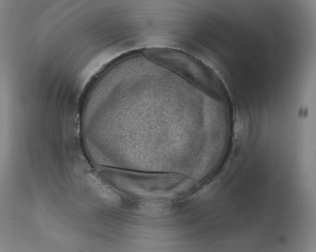 X0000112350973200909241058