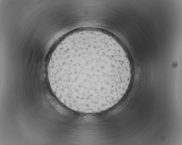 X0000112350974200909241058