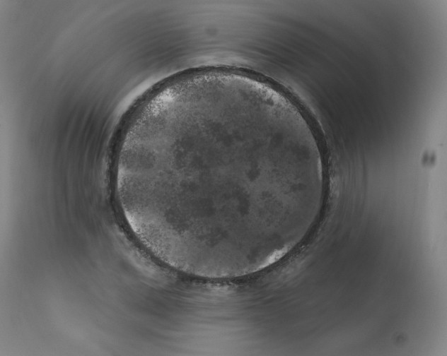 X0000112350975200909241058