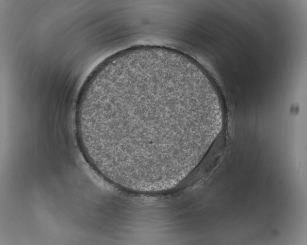 X0000112350976200909241058