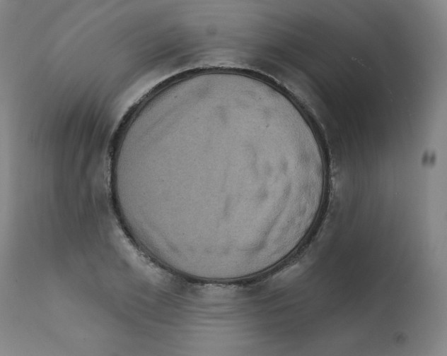 X0000112350981200909241058