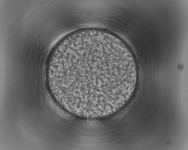 X0000112350983200909241058