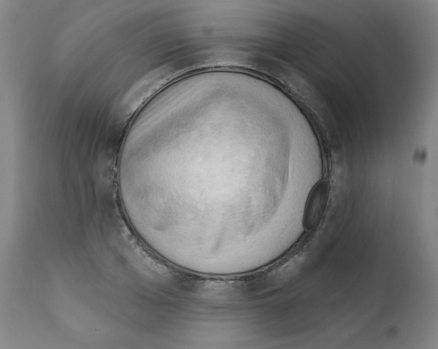 X0000112350985200909241058