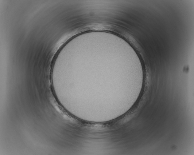 X0000112350986200909241058