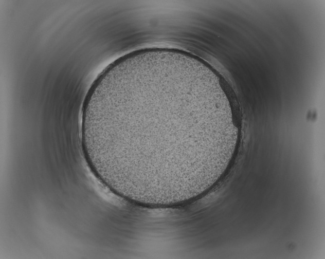 X0000112350988200909241058