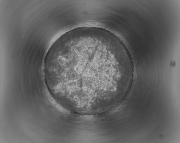 X0000112350990200909241058