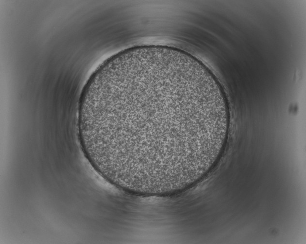 X0000112350992200909241058