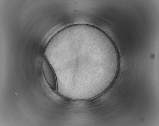 X0000112350993200909241058