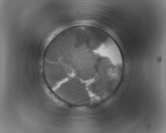 X0000112350994200909241058