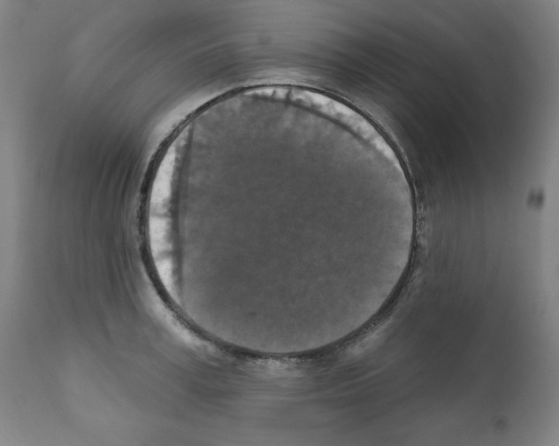 X0000112350995200909241058