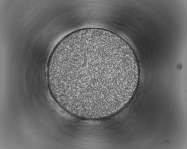 X0000112350996200909241058