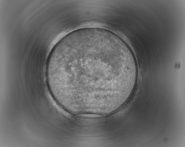 X0000112350997200909241057